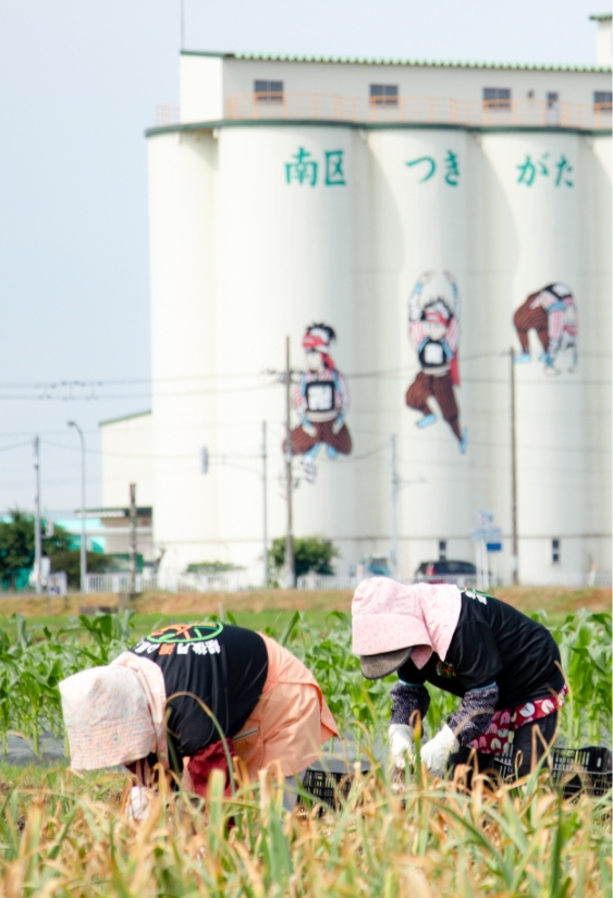 メインビジュアル